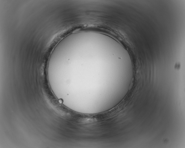 X0000116310543200912211924