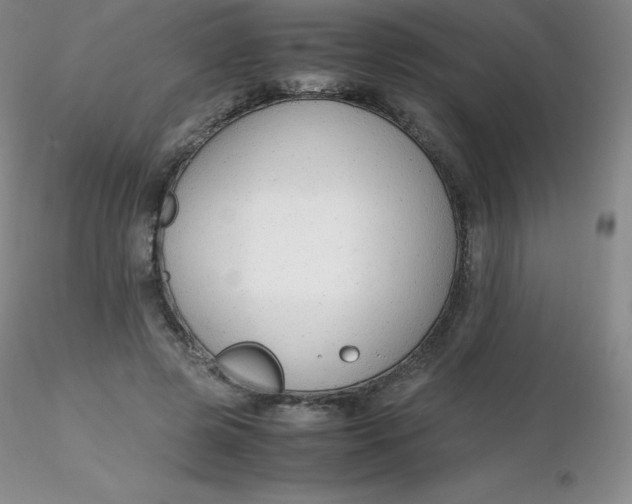 X0000116310545200912211924