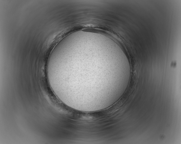 X0000116310547200912211924