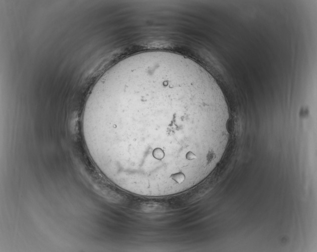 X0000116310549200912211924