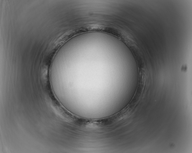 X0000116310550200912211924