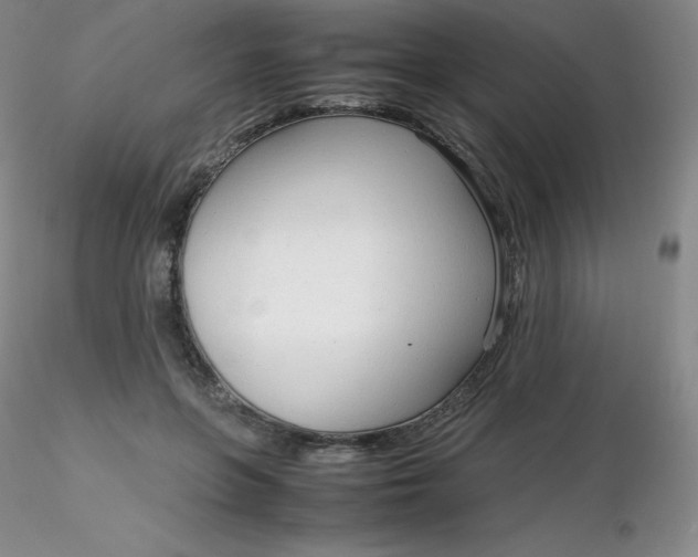 X0000116310551200912211924