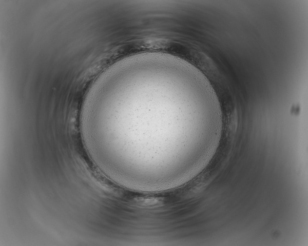 X0000116310553200912211924