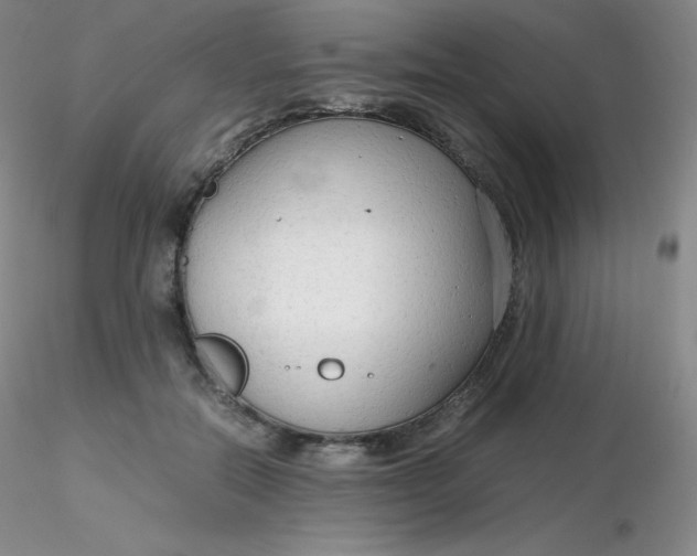 X0000116310554200912211924