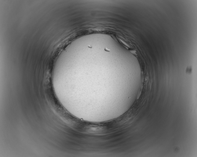 X0000116310555200912211925