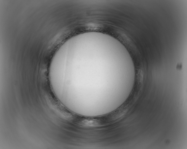 X0000116310557200912211925