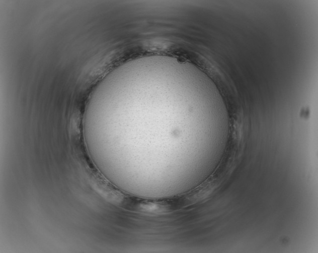 X0000116310561200912211925