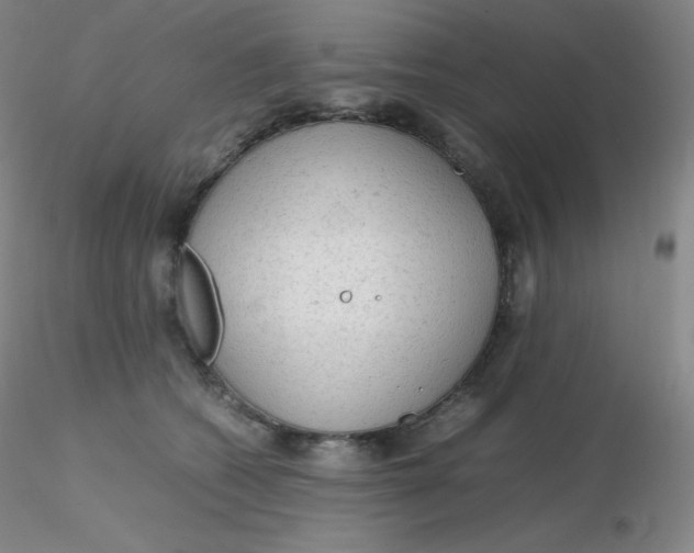 X0000116310562200912211925