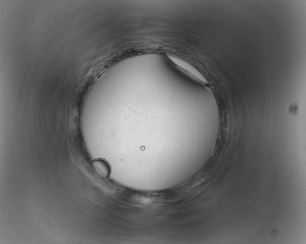 X0000116310563200912211925