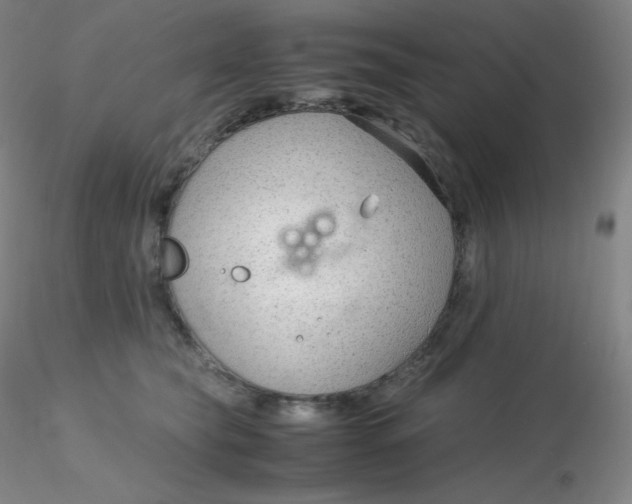 X0000116310565200912211925