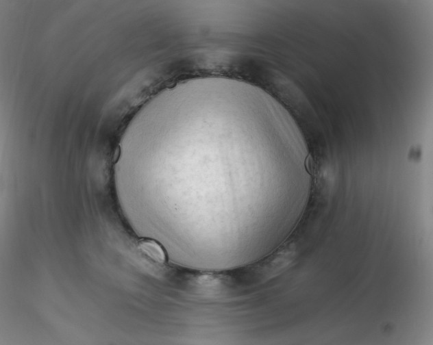 X0000116310566200912211925