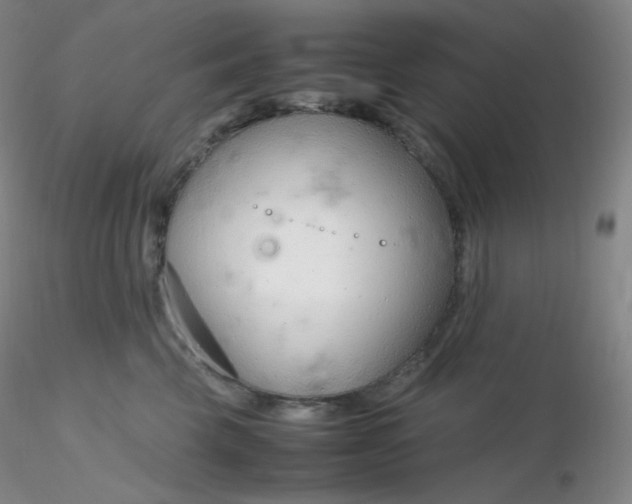 X0000116310569200912211925