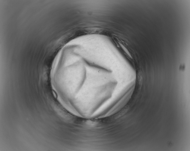 X0000116310570200912211925