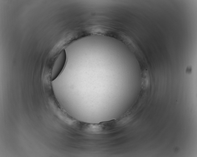 X0000116310573200912211925