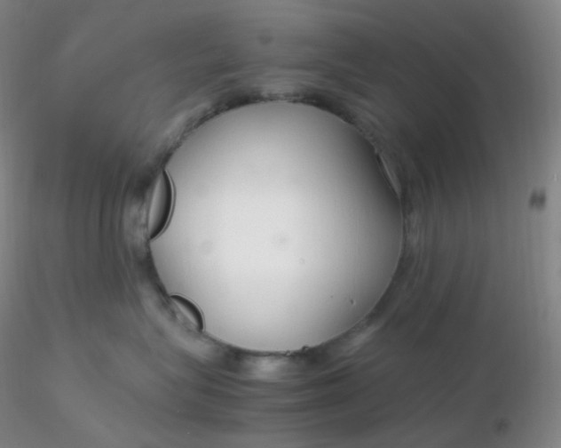 X0000116310575200912211925