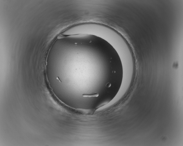 X0000116310577200912211924