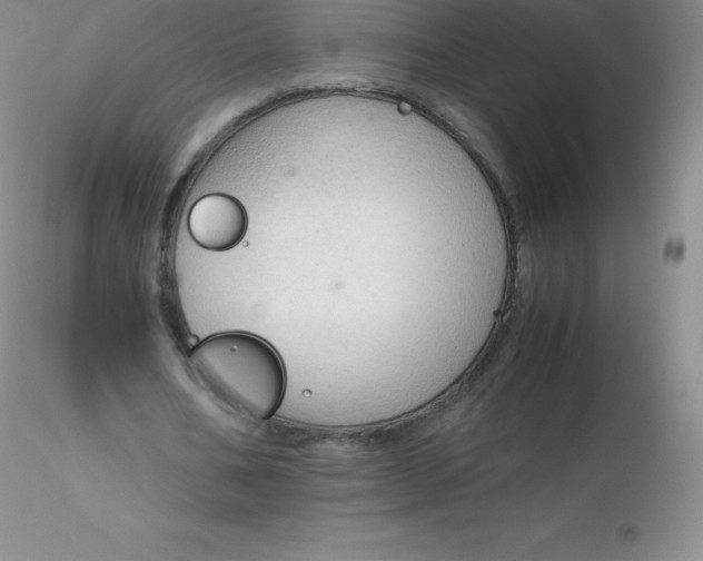 X0000116310578200912211924