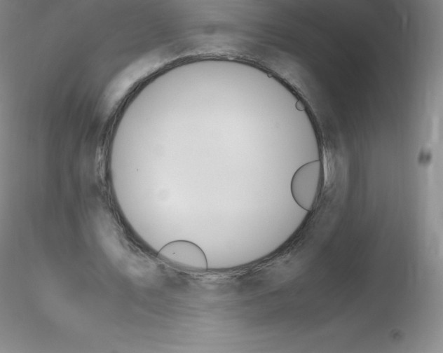 X0000116310579200912211924