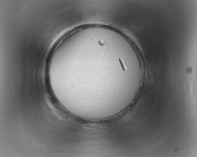 X0000116310580200912211924