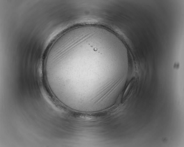 X0000116310582200912211924