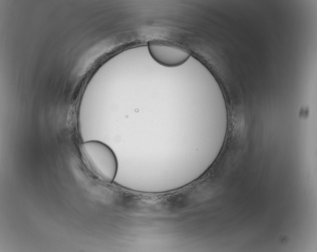 X0000116310583200912211924