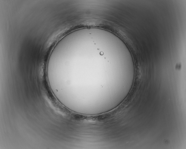 X0000116310586200912211924