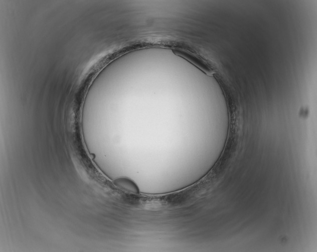 X0000116310587200912211924