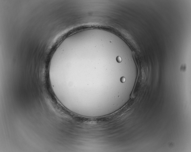 X0000116310588200912211924