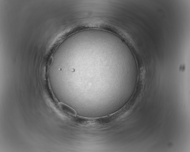 X0000116310589200912211924