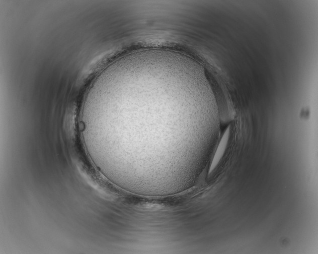 X0000116310590200912211924