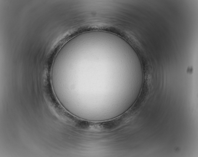 X0000116310591200912211924