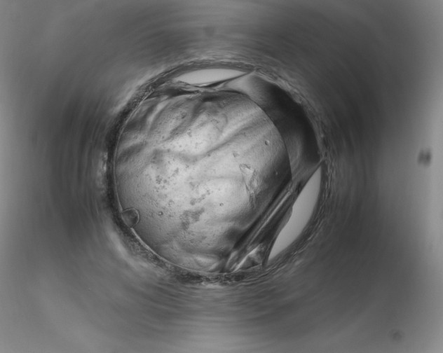 X0000116310592200912211924