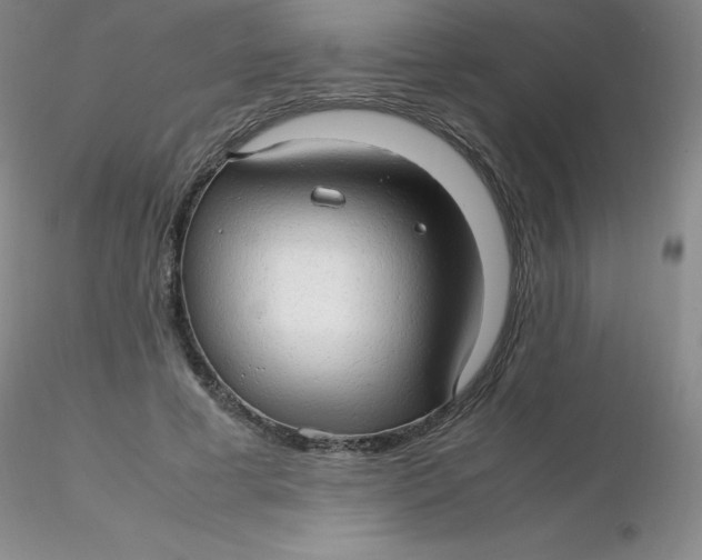 X0000116310593200912211924