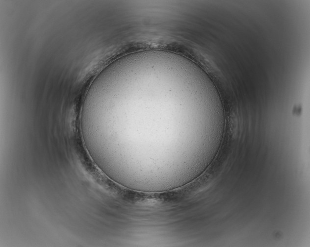 X0000116310594200912211924