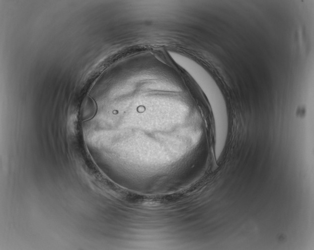 X0000116310596200912211924