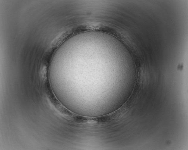 X0000116310598200912211924