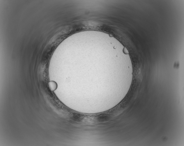 X0000116310599200912211924