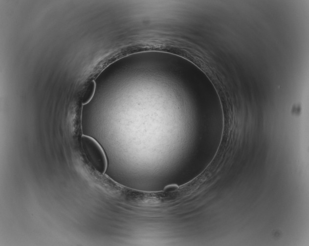 X0000116310600200912211924