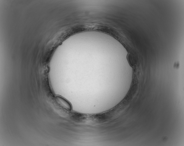 X0000116310601200912211924