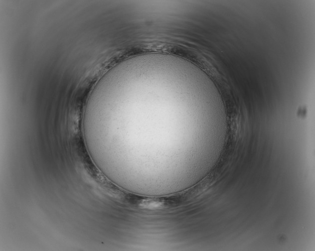 X0000116310602200912211924