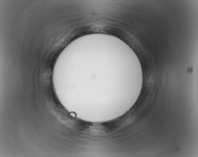 X0000116310603200912211924