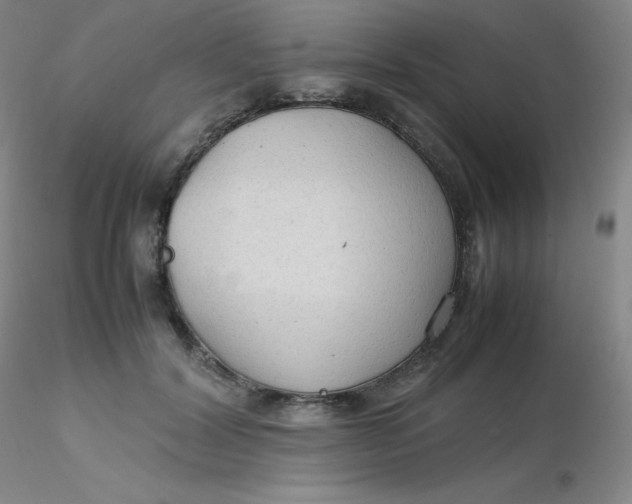 X0000116310604200912211924