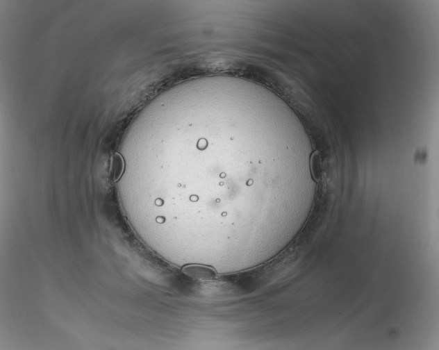 X0000116310605200912211924