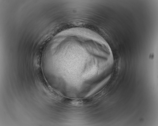 X0000116310606200912211924