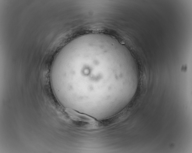 X0000116310609200912211924