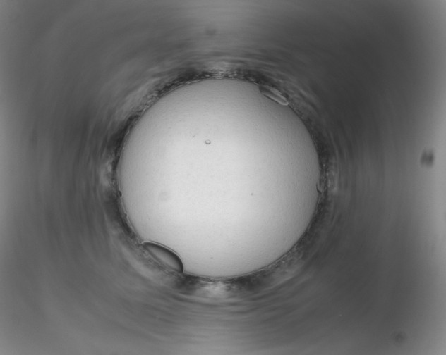 X0000116310611200912211924