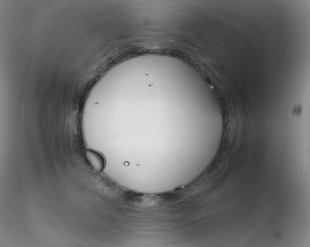 X0000116310612200912211924