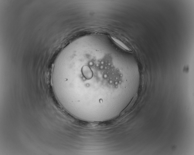 X0000116310613200912211924