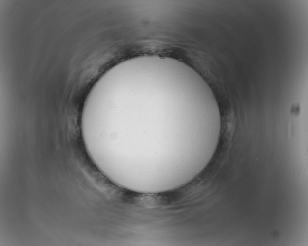 X0000116310615200912211924