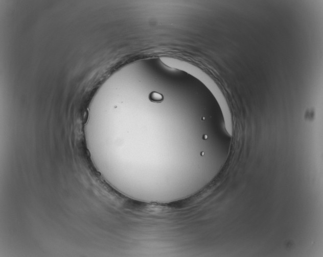 X0000116310617200912211924